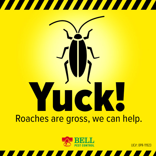 Bell Pest Control image