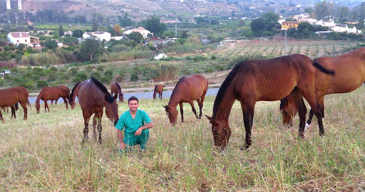 Oh My Dog! 📷🐶 Fotografo de Perros y Mascotas - C. de Alozaina, 56, Portal 1º Derecha, 29006 Málaga, España