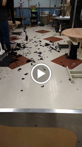 Pet Supply Store «PetSmart», reviews and photos, 150 Lincoln Square, Arlington, TX 76011, USA