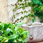 Photo n°3 de l'avis de Constantin.. fait le 18/07/2019 à 19:26 sur le  Hotel Villa Abbazia Relais & Chateaux à Follina