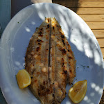 Photo n°7 de l'avis de Raul.a fait le 08/09/2022 à 20:29 sur le  Sem Espinhas - Cabeço à Retur