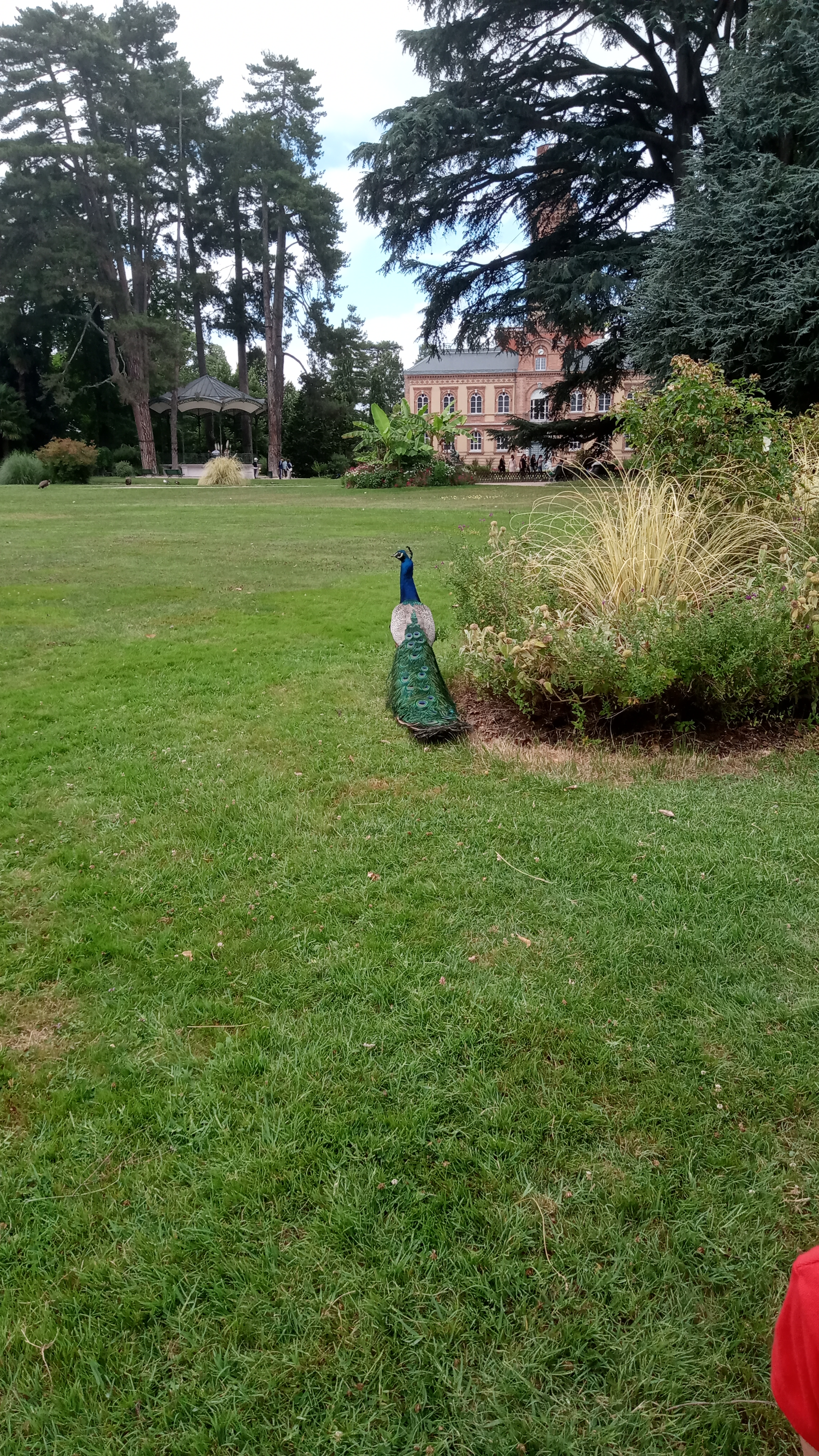 Photo n° 1 de l'avis de blandine.a fait le 15/07/2020 à 14:11