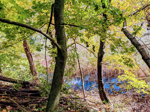 Nature Preserve «Steer Swamp Conservation Area», reviews and photos, 188 Washington St, Marblehead, MA 01945, USA