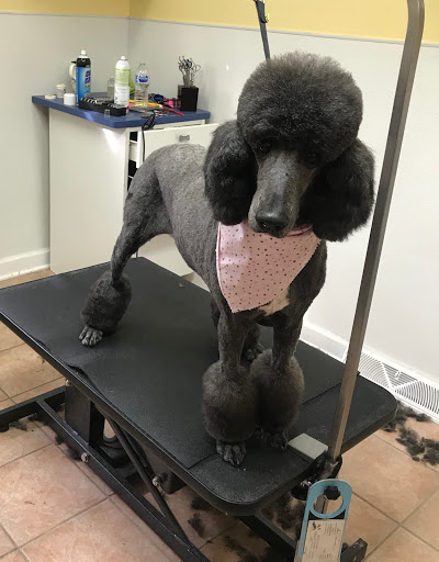 Pet Supply Store «Animal House Grooming & Quality», reviews and photos, 229 W Absecon Blvd, Absecon, NJ 08201, USA