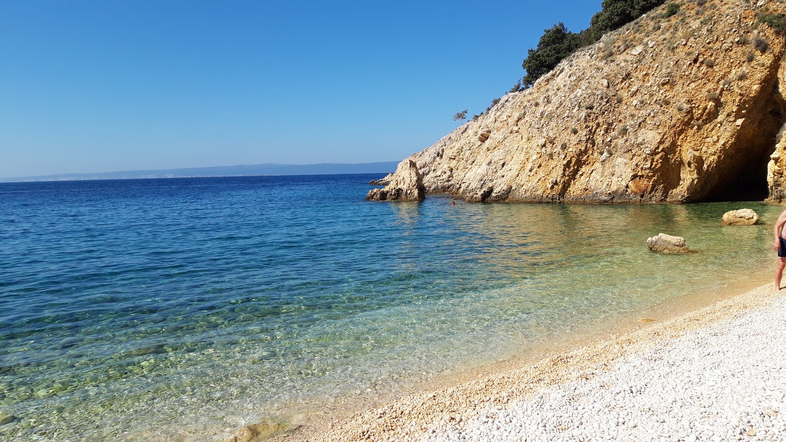 Fox Bay'in fotoğrafı çok temiz temizlik seviyesi ile