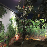 Photo n°2 de l'avis de Alessandro.l fait le 08/12/2018 à 19:25 sur le  Fábrica do Chocolate | Hotel Chocolataria Museu à Viana do Castelo