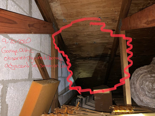 Roofing Contractor «Hippo Roofing LLC», reviews and photos, 1555 N Harbor City Blvd, Melbourne, FL 32935, USA