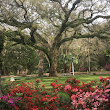 Eden Gardens State Park