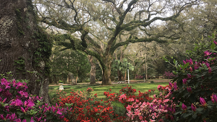 Tree Service Santa Rosa Beach FL