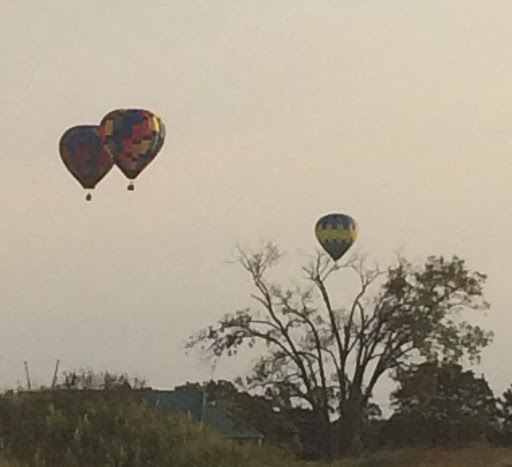 Circus «The Flying Circus AirShow», reviews and photos, 5114 Co Rd 644, Bealeton, VA 22712, USA