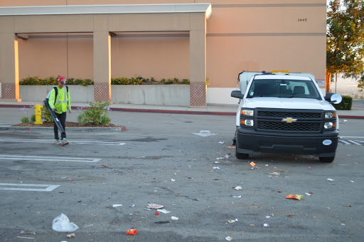 Golden Sun Sweeping and Maintenance