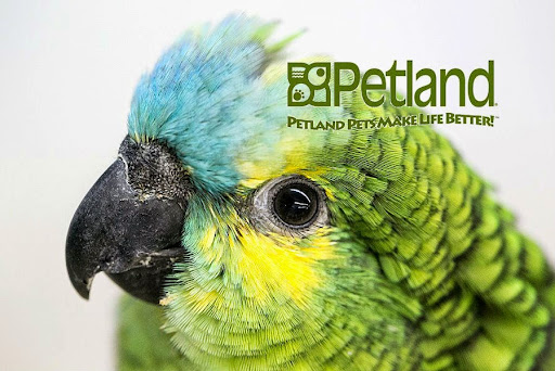 Pet Store «Petland Batavia», reviews and photos, 401 N Randall Rd, Batavia, IL 60510, USA