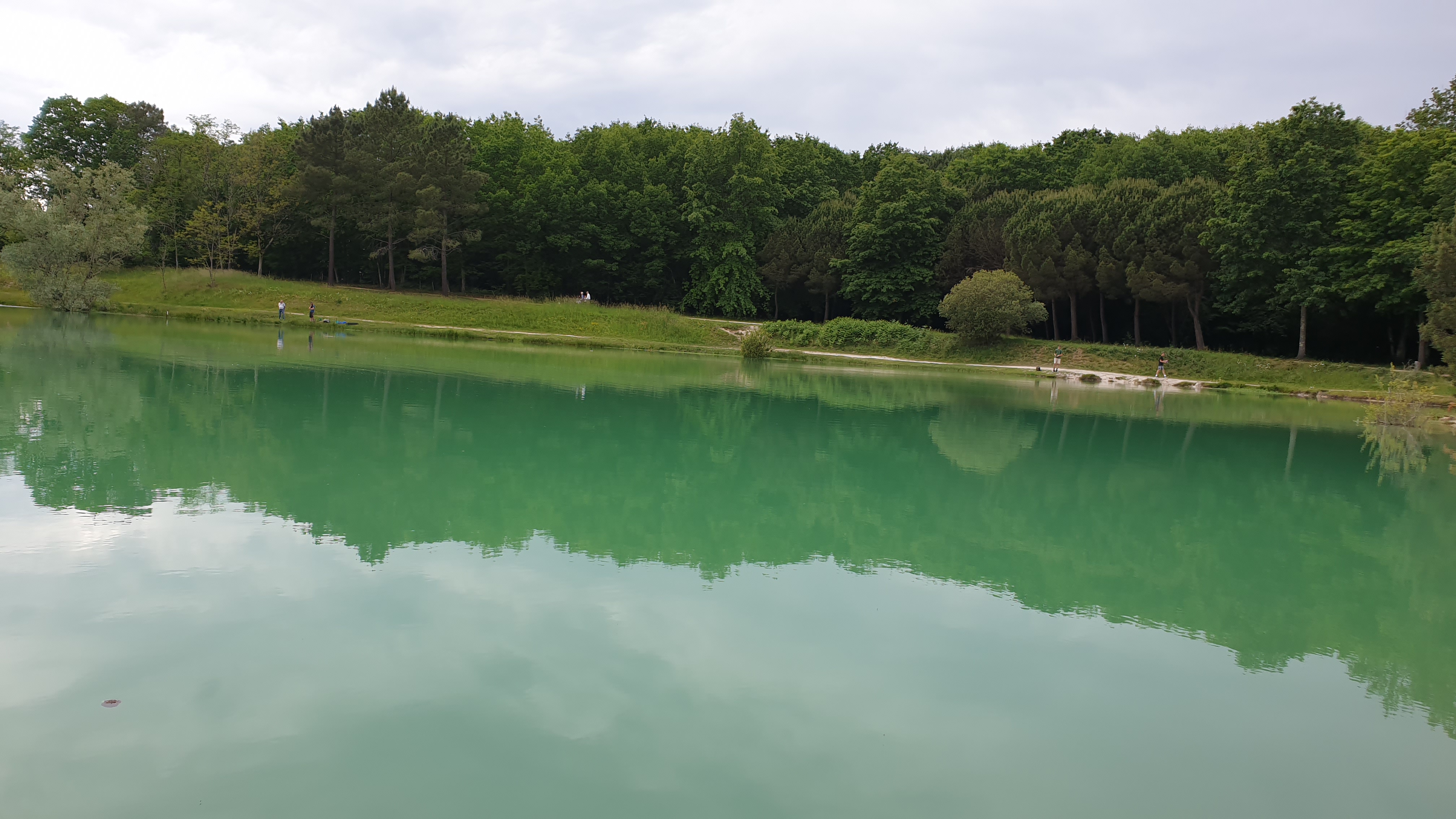 Photo n° 5 de l'avis de Diffuseur.t fait le 29/05/2021 à 18:37