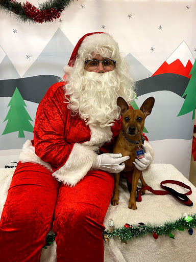 Pet Supply Store «PetSmart», reviews and photos, 5591 TN-153, Hixson, TN 37343, USA