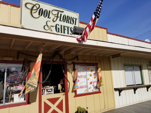 Florist «Cool Florist and Gifts», reviews and photos, 2968 CA-49 i, Cool, CA 95614, USA