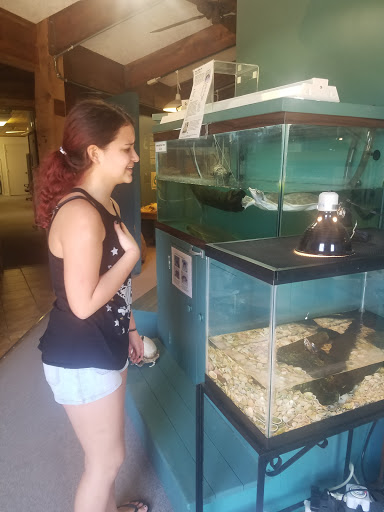 Non-Profit Organization «Sanibel-Captiva Conservation Foundation», reviews and photos, 3333 Sanibel Captiva Rd, Sanibel, FL 33957, USA