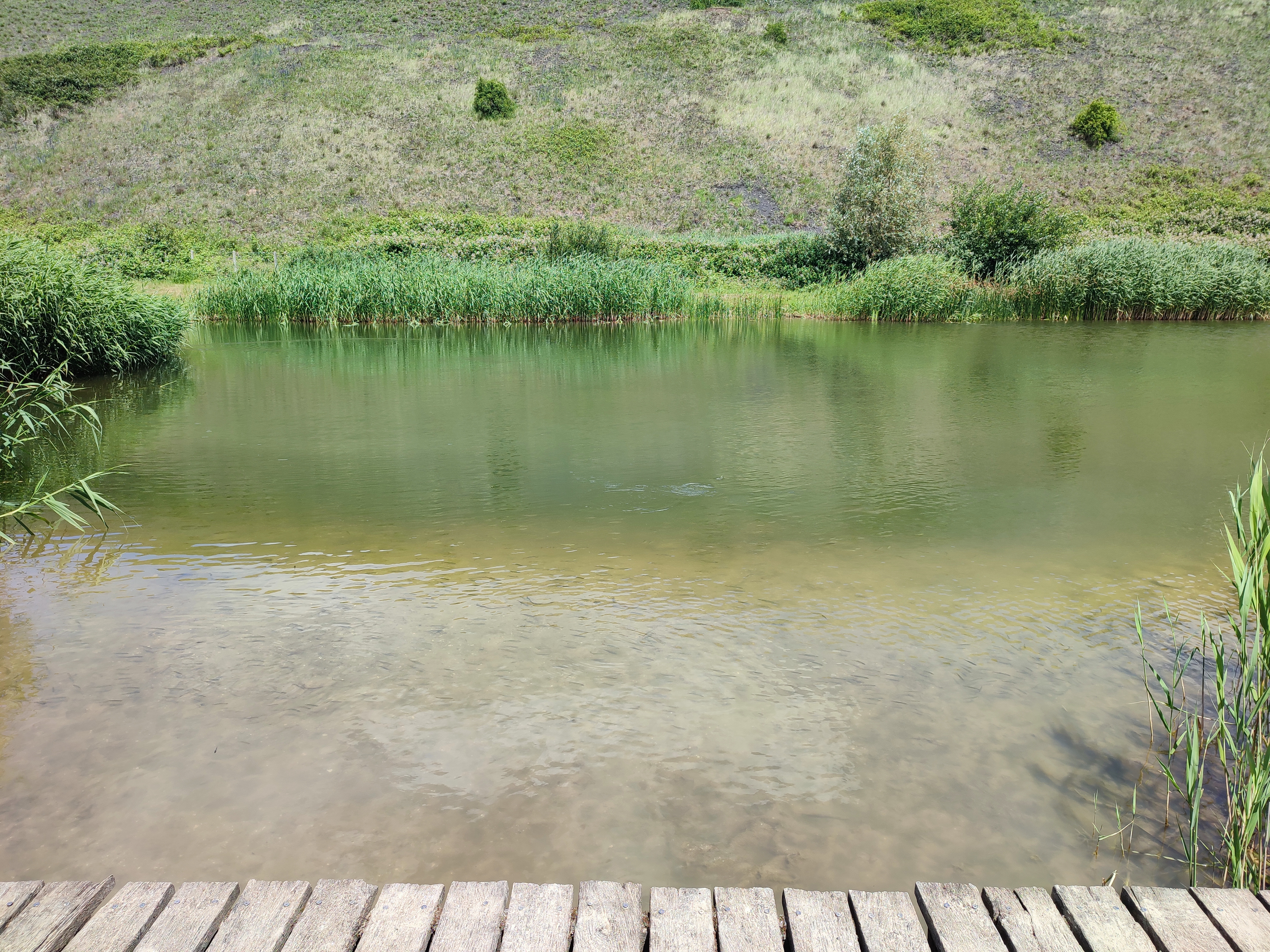 Photo n° 5 de l'avis de Vagabond.a fait le 13/06/2022 à 16:42