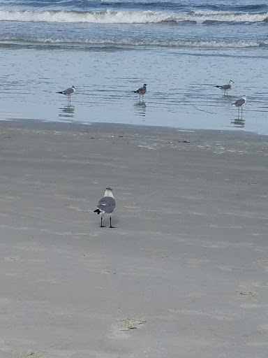 Office Supply Store «Staples», reviews and photos, 2535 Dallas Hwy, Marietta, GA 30064, USA