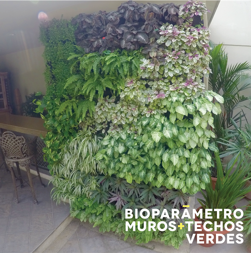 Bioparametro Muros + Techos Verdes
