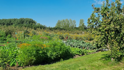 Proeftuin van Linschoten