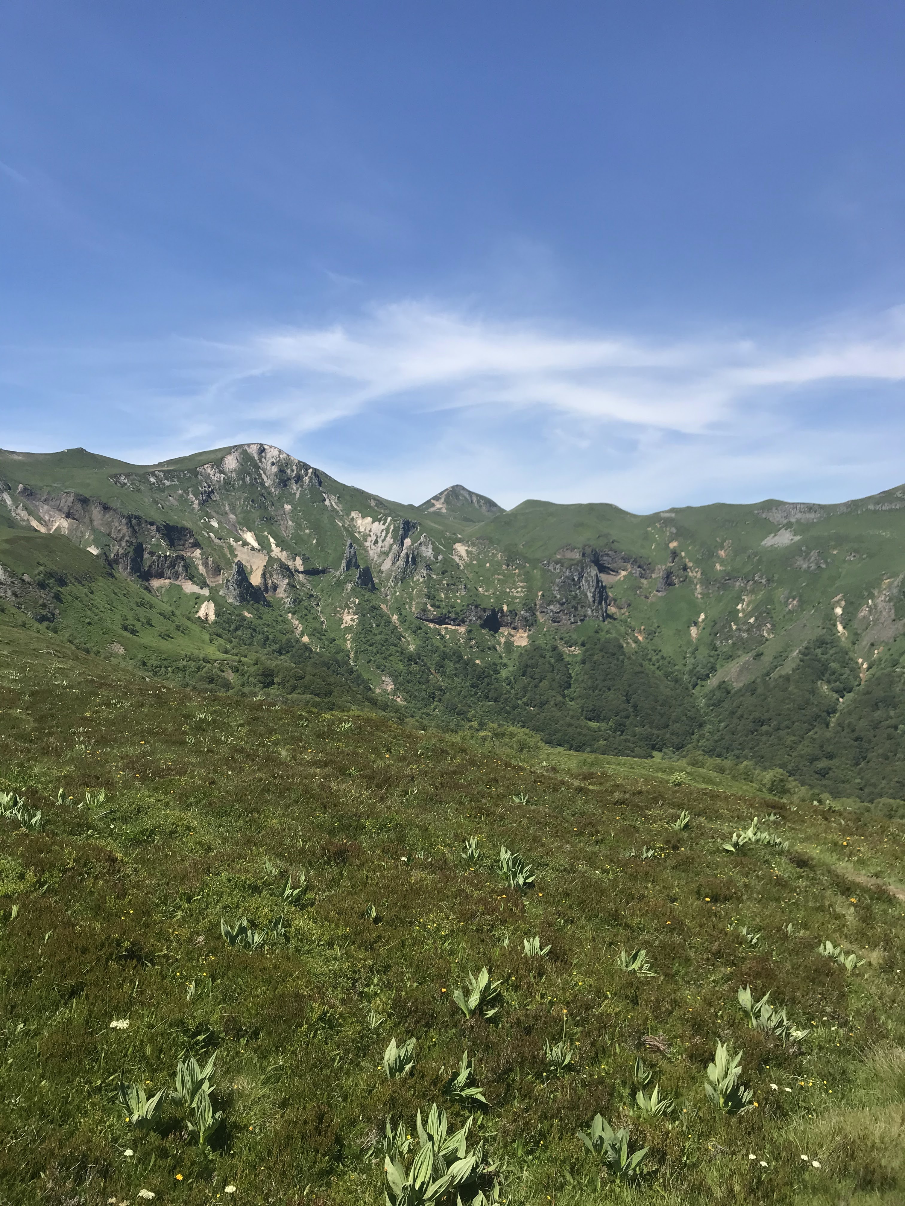Photo n° 39 de l'avis de axel.l fait le 24/06/2020 à 15:56