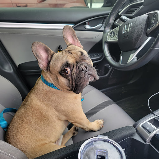 Pet Supply Store «Petco Animal Supplies», reviews and photos, 9004 Vernon Rd, Lake Stevens, WA 98258, USA