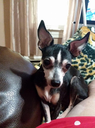 100 Dunmore St, Throop, PA 18512, USA