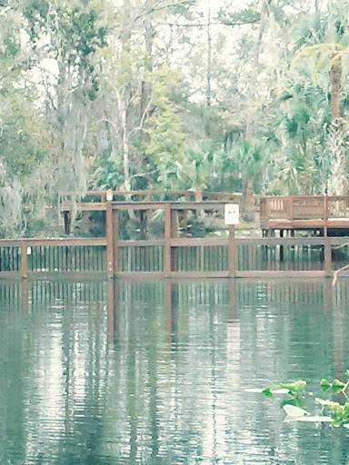 Canoe & Kayak Rental Service «Wekiva Island», reviews and photos, 1014 Miami Springs Dr, Longwood, FL 32779, USA