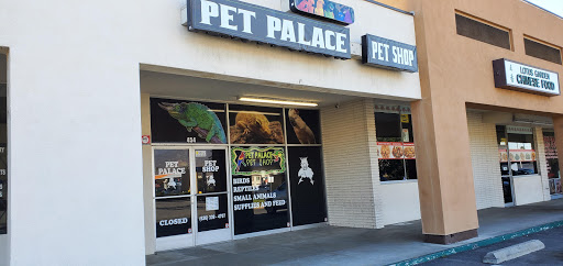 Pet Palace, 1442 N Hollenbeck Ave, Covina, CA 91722, USA, 