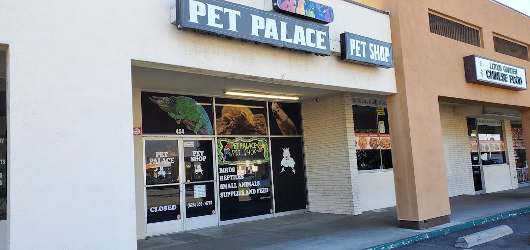 Pet Palace