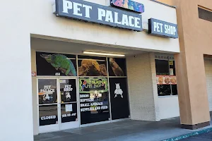 Pet Palace image