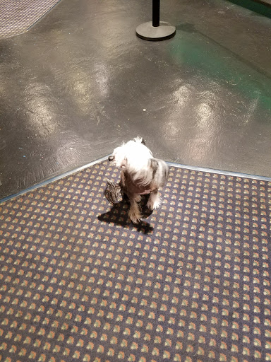 Movie Theater «Park Plaza Cinema», reviews and photos, 33 Office Park Rd #201, Hilton Head Island, SC 29928, USA