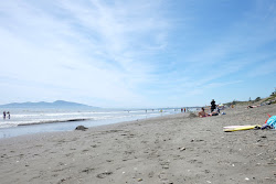 Foto von Paekakariki Beach mit lange, gerade küste