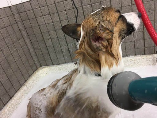 Pet Supply Store «Pet Food Express», reviews and photos, 15466 Los Gatos Blvd, Los Gatos, CA 95032, USA