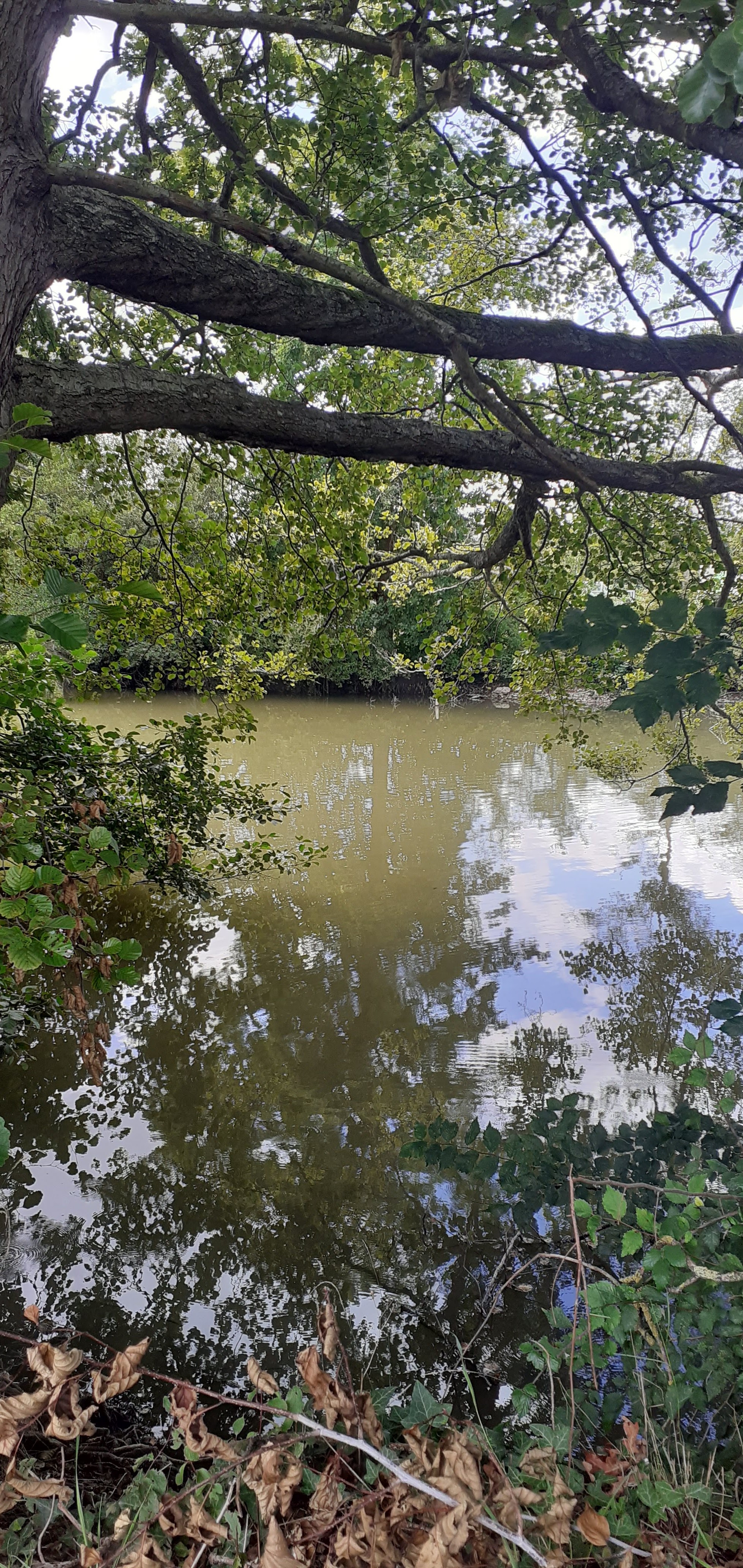 Photo n° 6 de l'avis de Frederic.e fait le 16/08/2023 à 17:41