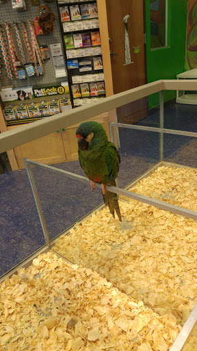 Andy's Feed & Pet Store