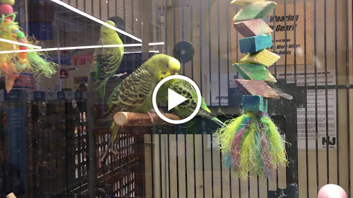Pet Supply Store «PetSmart», reviews and photos, 2101 NJ-35, Holmdel, NJ 07733, USA