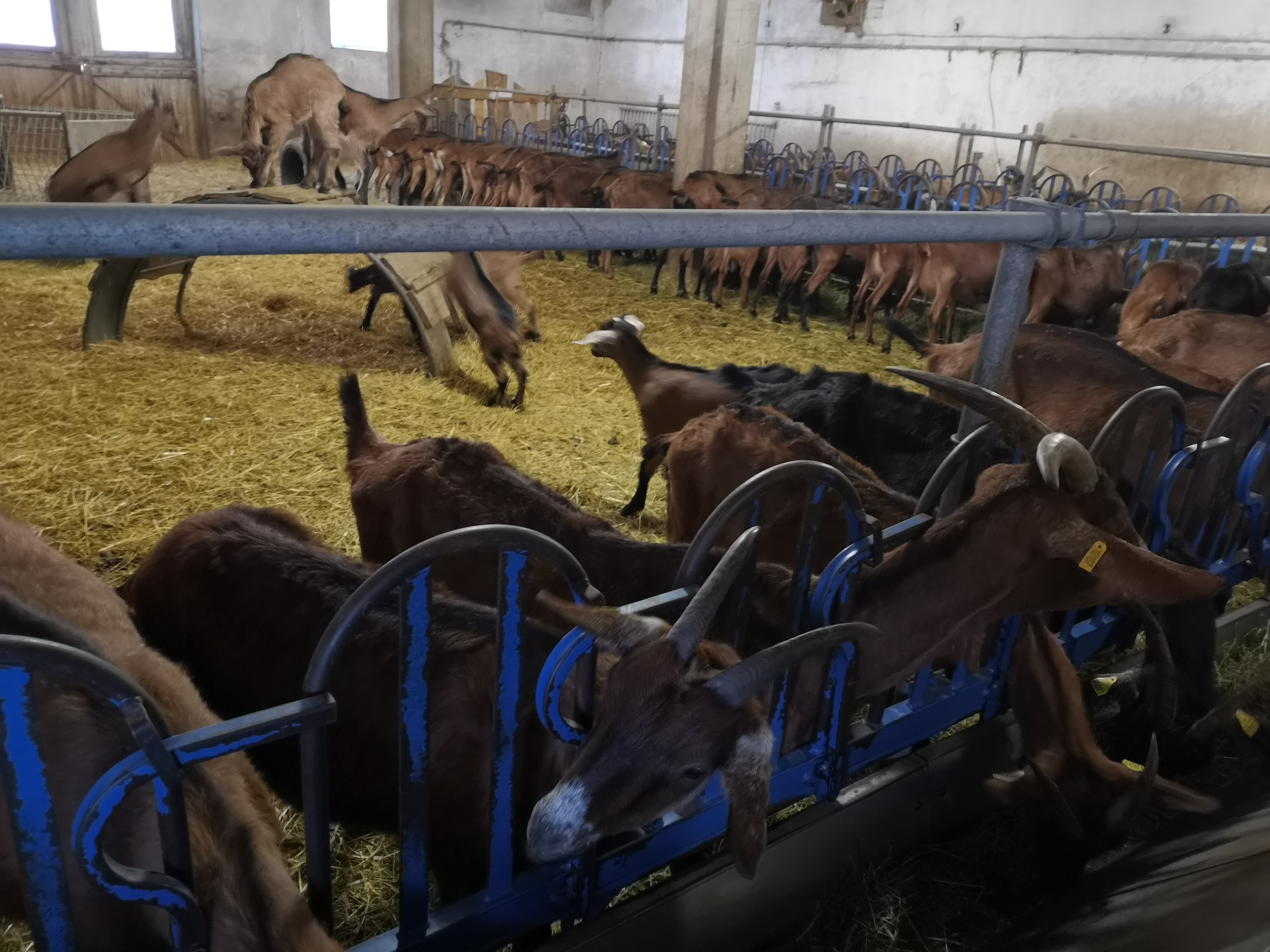 Photo n° 4 de l'avis de Joëlle.a fait le 22/02/2020 à 10:40