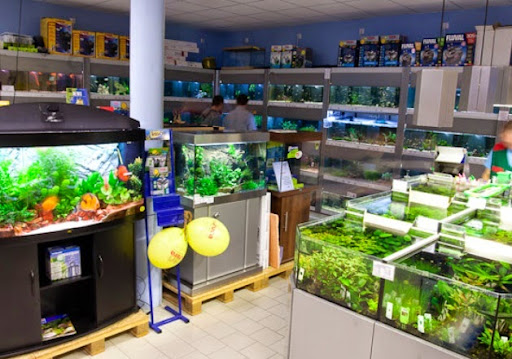 Bendick Zookauf GmbH unter Rheine, 