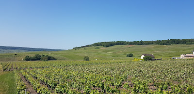 Champagne Ghislain Payer et fille à Fleury-la-Rivière