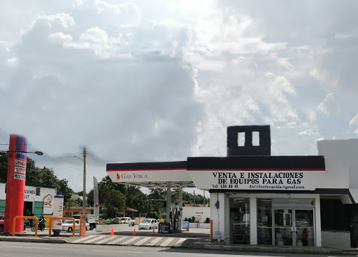 DISTRIBUIDORA DE EQUIPOS JEBLA SA DE CV Gas Logs Supplier En 