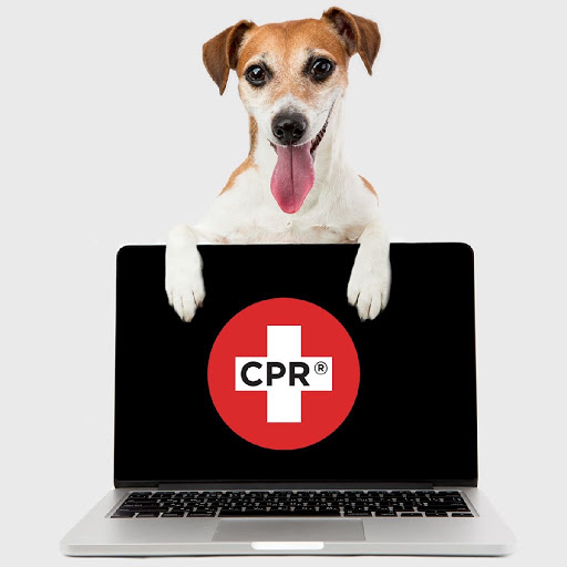 Mobile Phone Repair Shop «CPR Cell Phone Repair King of Prussia», reviews and photos, 348 W Dekalb Pike, King of Prussia, PA 19406, USA