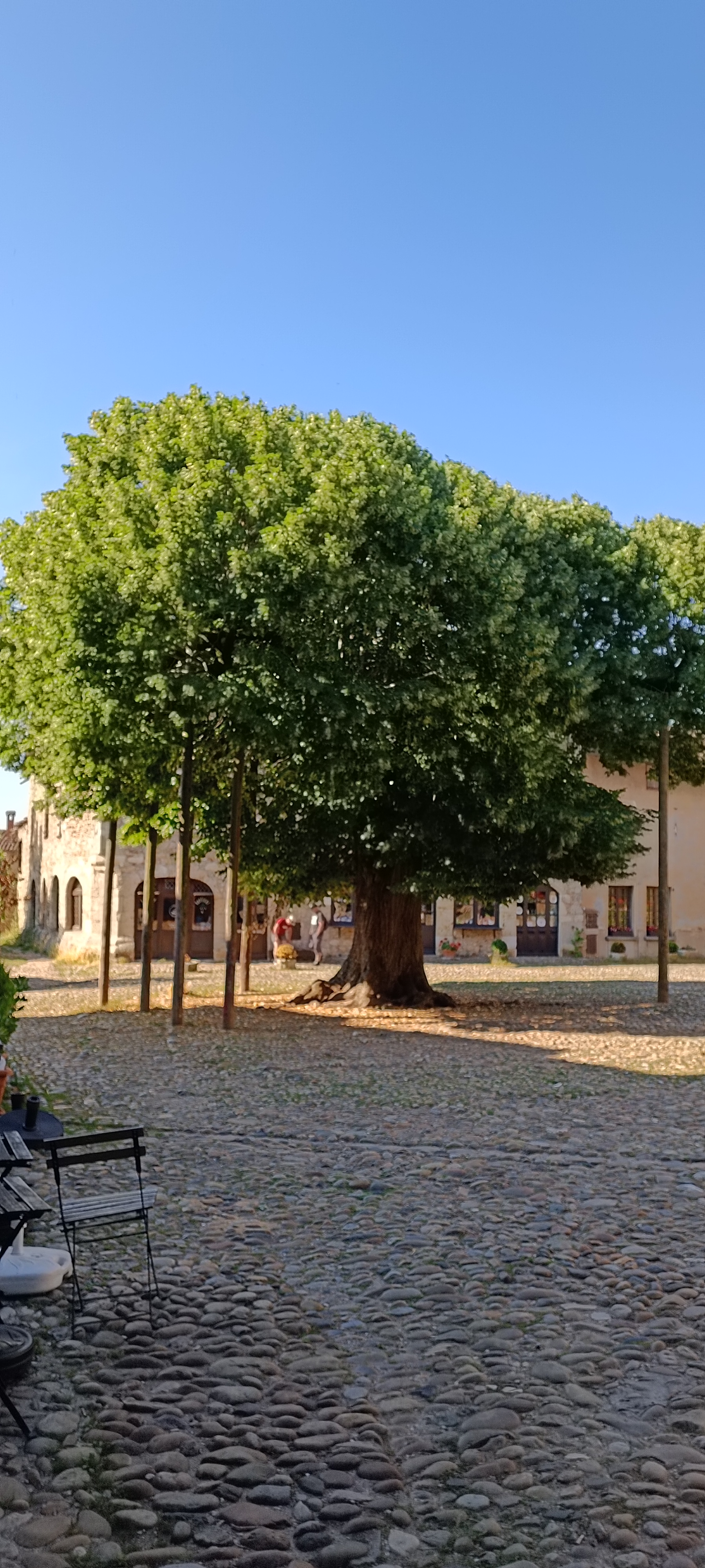 Photo n° 6 de l'avis de pascal.l fait le 26/06/2023 à 14:56
