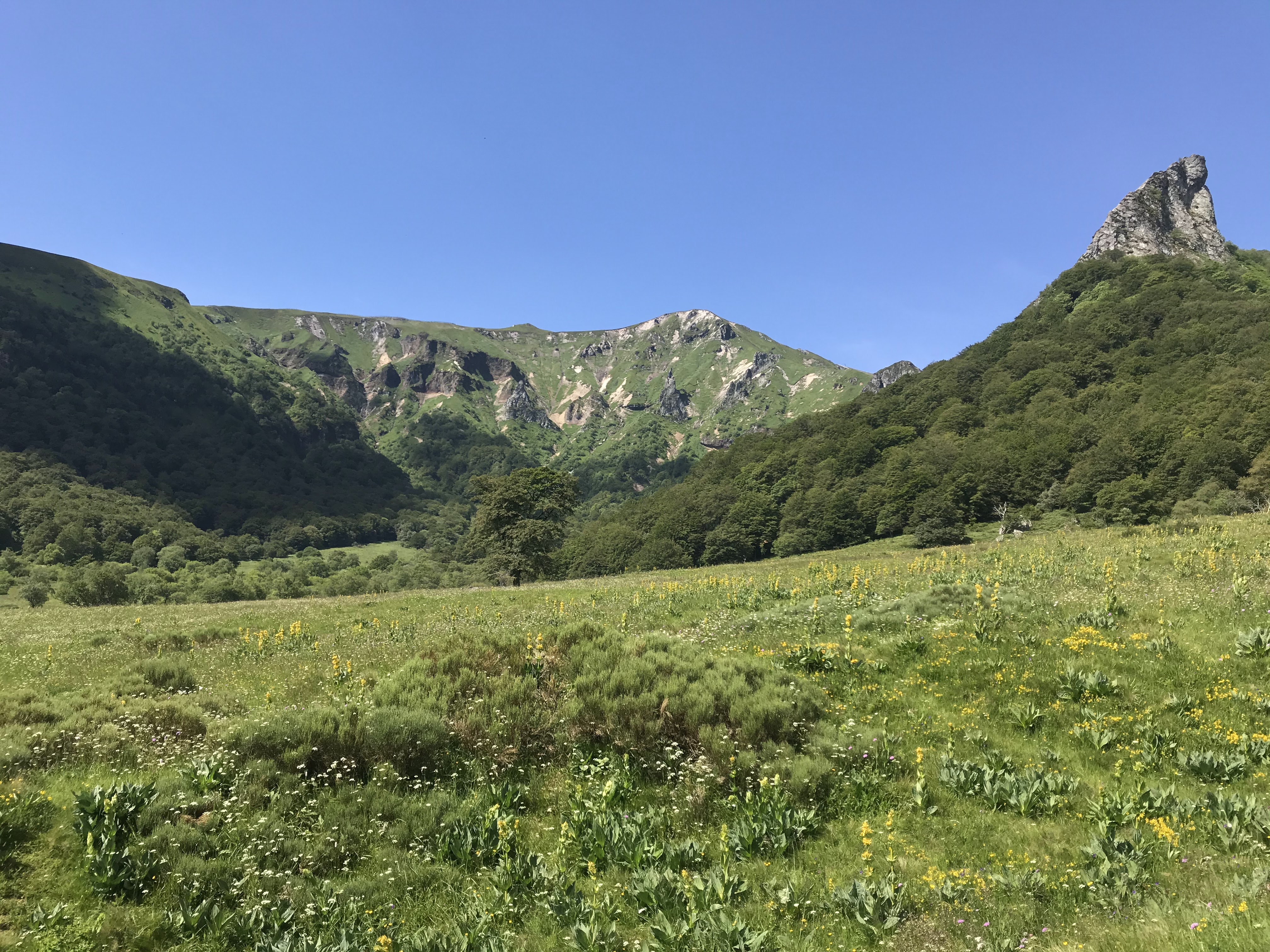 Photo n° 46 de l'avis de axel.l fait le 24/06/2020 à 15:56