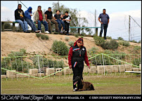 Nightmare Obedience & Pet Sitting - Photo 8 - Car repair in , Waco