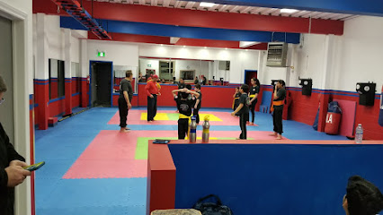 Damerji's Martial Arts Academy