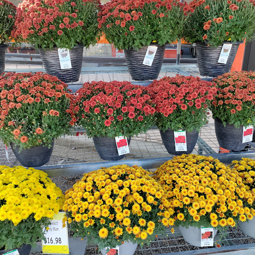 Home Improvement Store «The Home Depot», reviews and photos, 6625 Grand Ave, Gurnee, IL 60031, USA