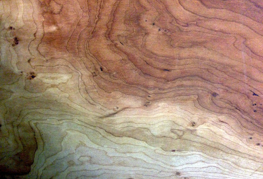 Hardware Store «Asheville Hardware», reviews and photos, 10 Buxton Ave, Asheville, NC 28801, USA