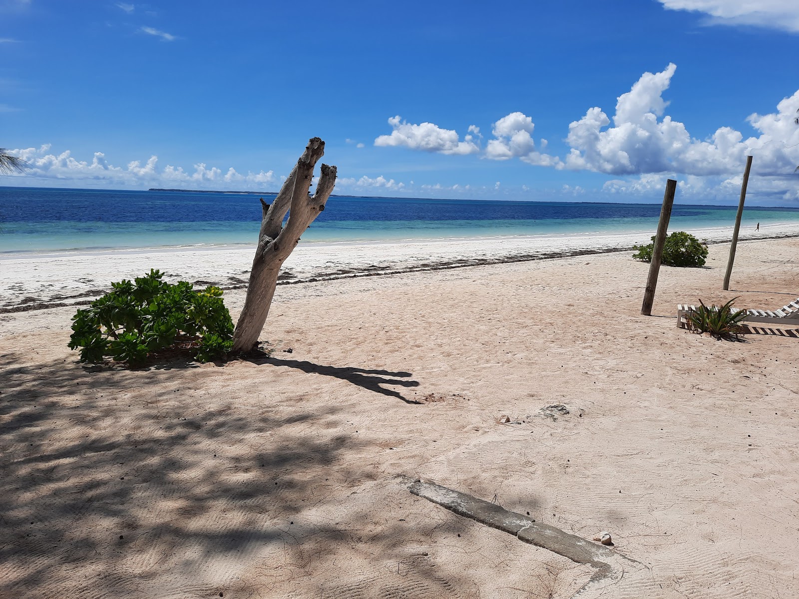 Foto de Uroa Public Beach con parcialmente limpio nivel de limpieza