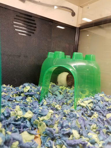 Pet Supply Store «PetSmart», reviews and photos, 7616 Denton Hwy #532, Watauga, TX 76148, USA